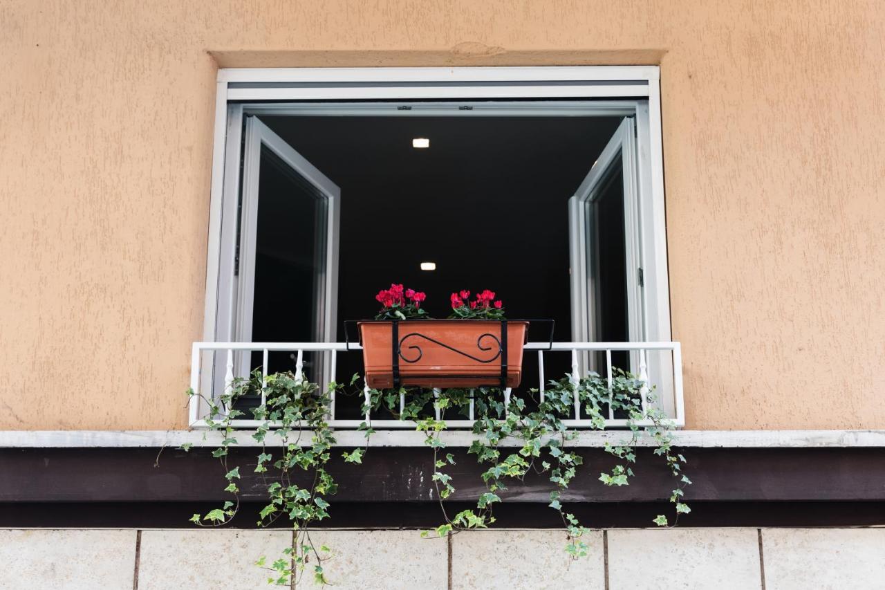 Ziani Vatican Boutique Рим Екстериор снимка